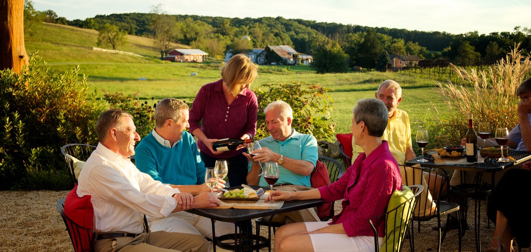 Frederick_Winery_Black Ankle Vineyards_CREDIT Andrew Murdock