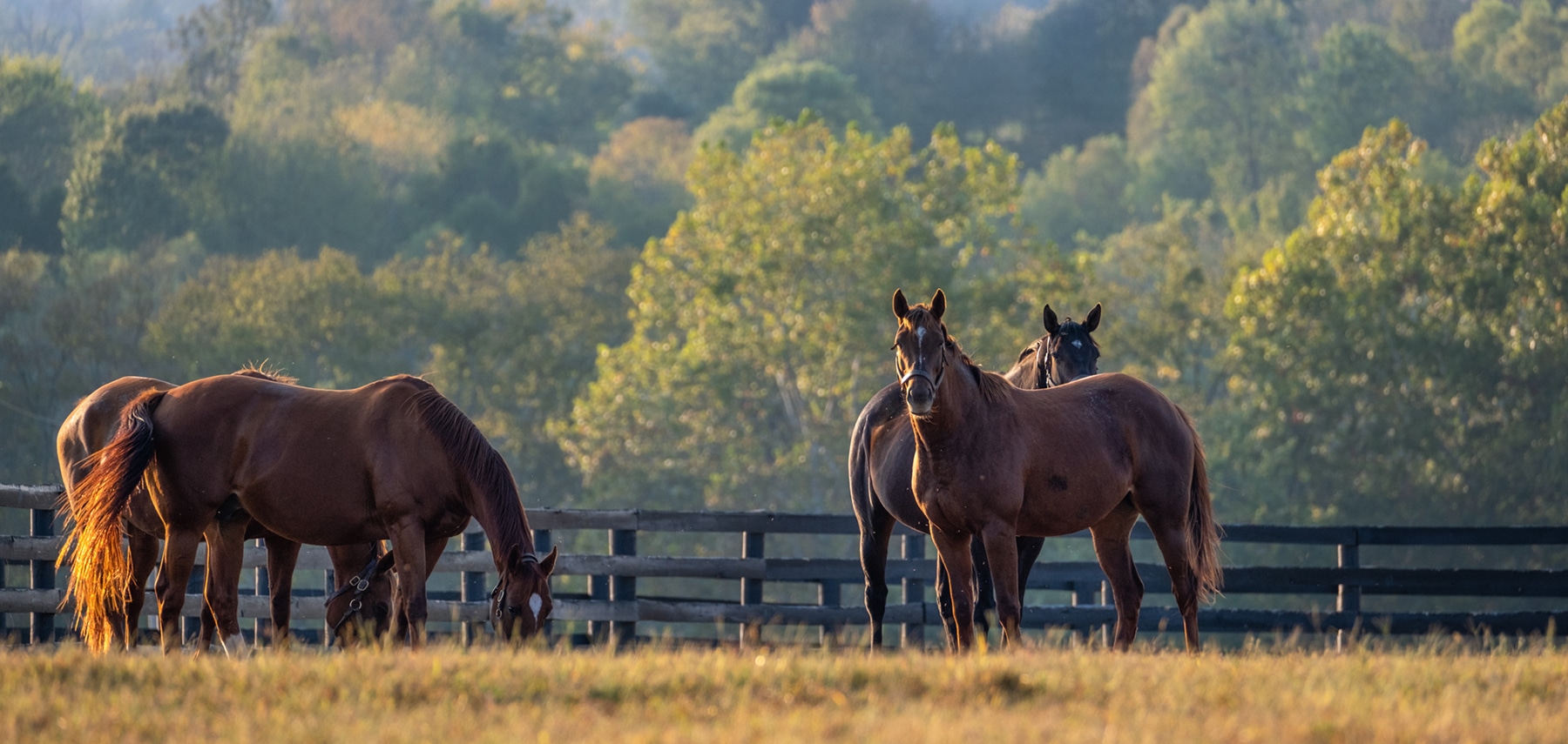 2019 Kentucky In Focus Series Episode 101