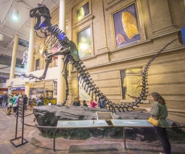 Image : Denver Museum of Nature & Science