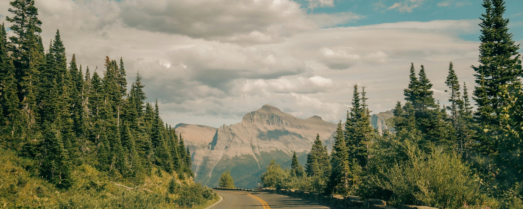 hans-4nkasOvOJyI-unsplash (003)-1