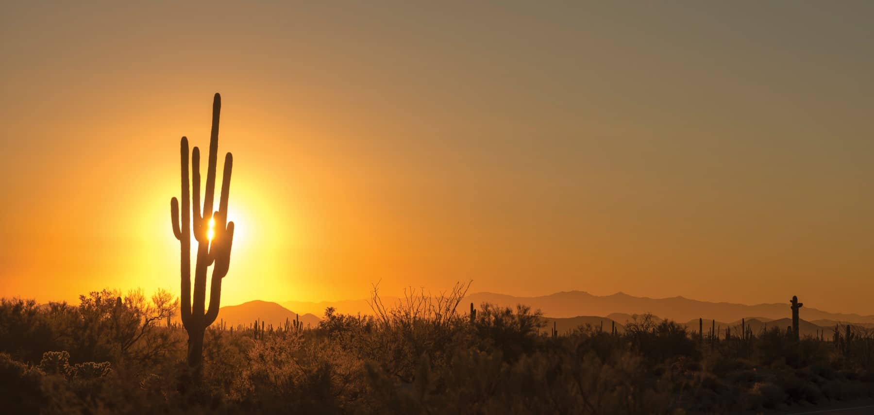 Arizona-Sonoran-Desert