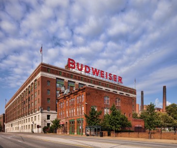 Image : La culture de la bière artisanale