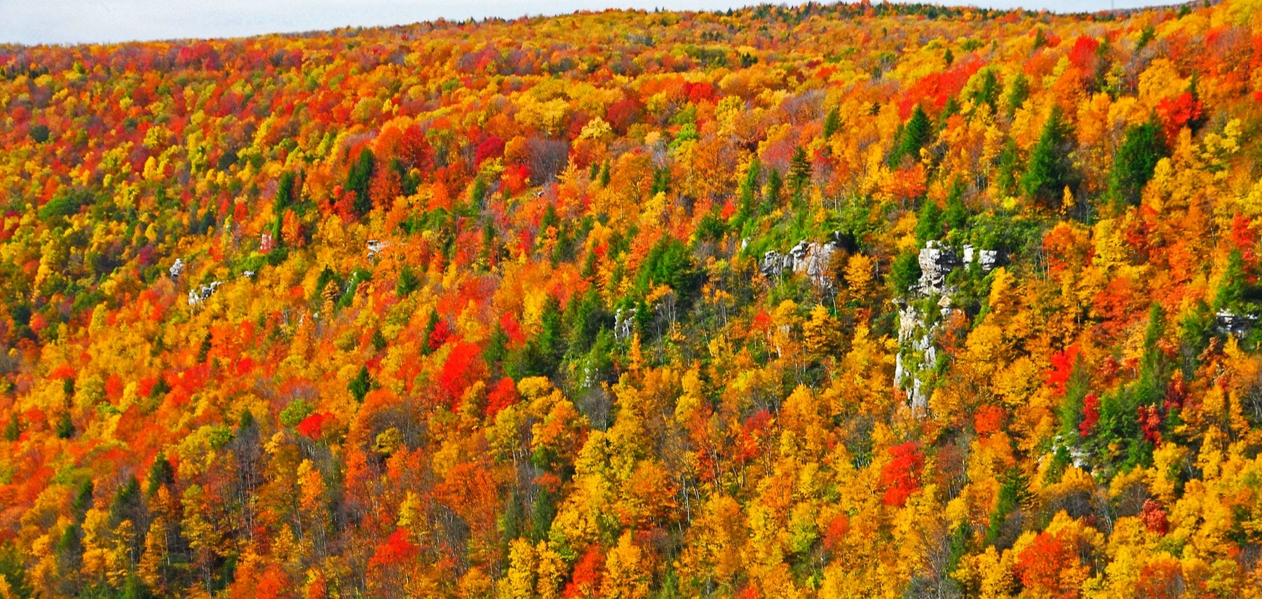 Virginie-Occidentale-Blackwater-Falls-Resort-State-Park
