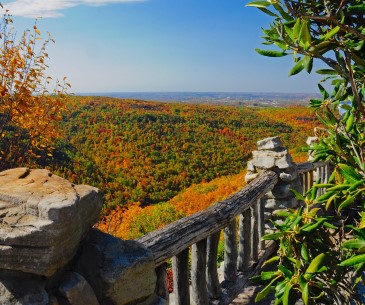 Image : Coopers Rock State Forest