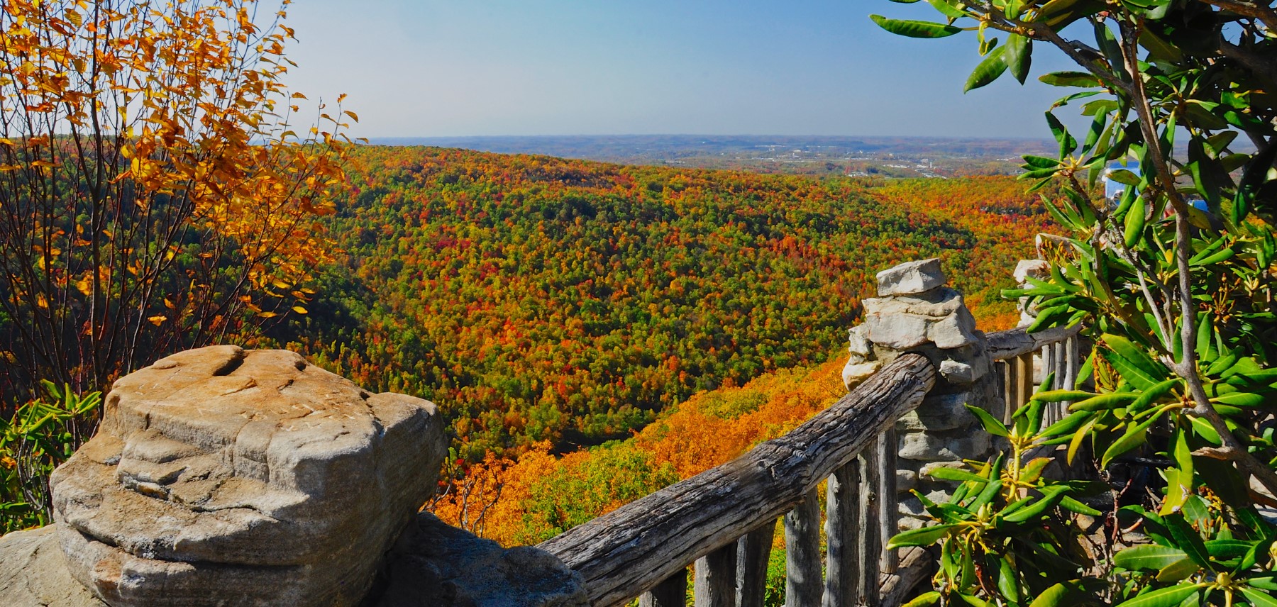 Virginie-Occidentale-Coopers-Rock-State-Forest