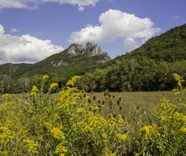 Image : Seneca Rocks