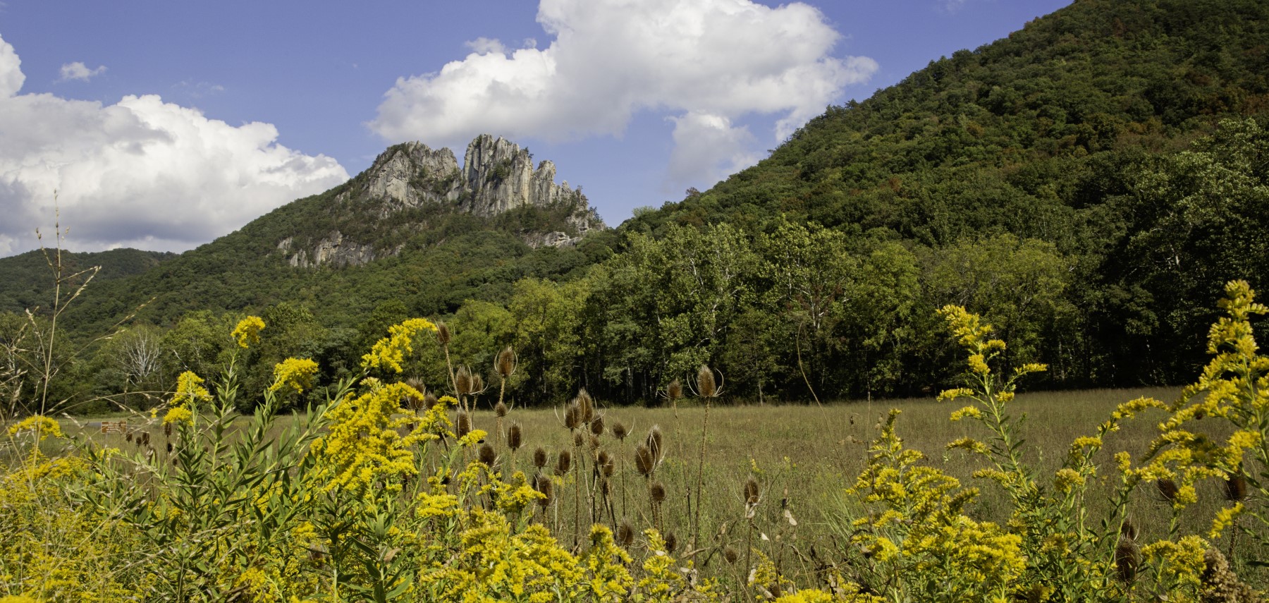 Virginie-Occidentale-Seneca-Rocks