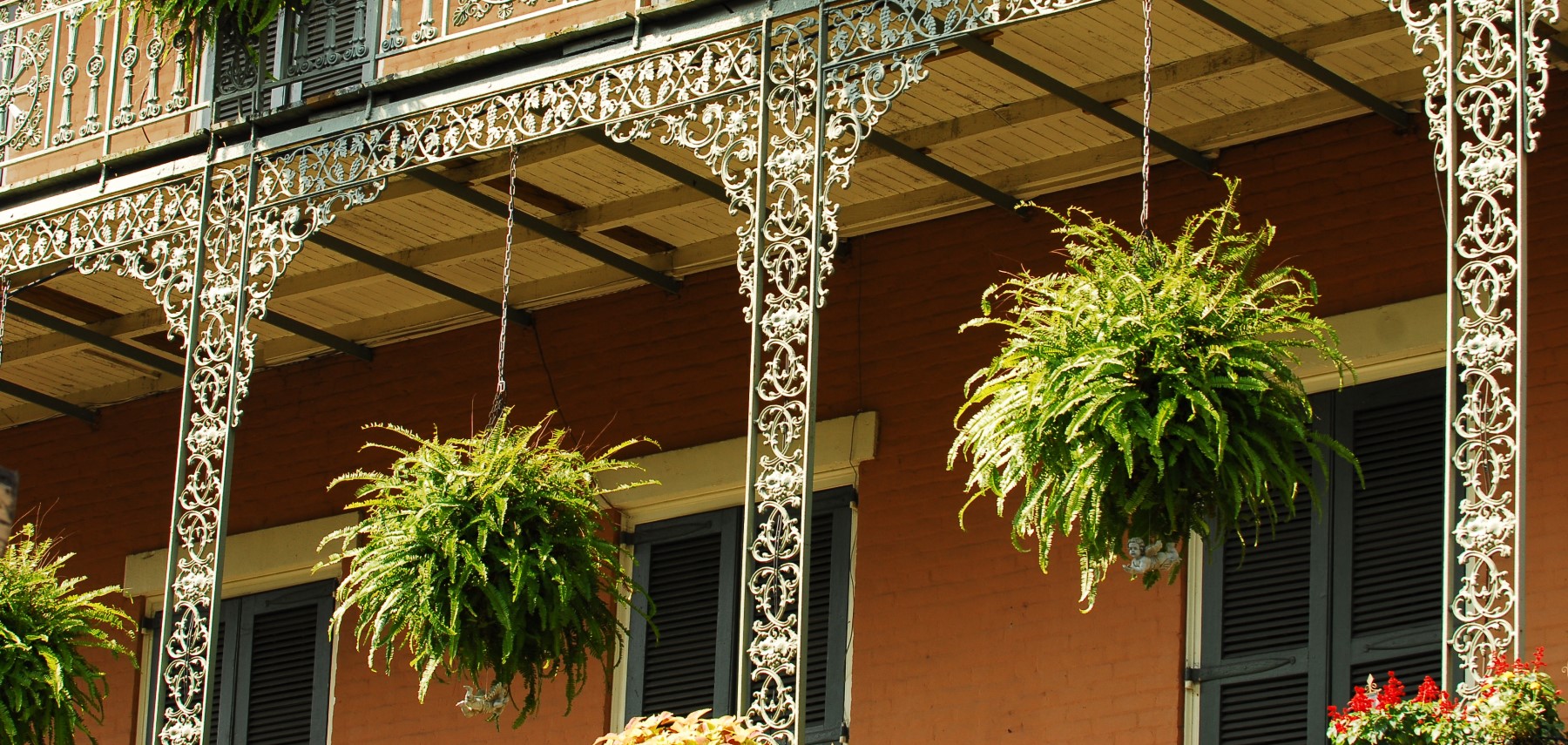 Louisiana-New-Orleans-ferns-in-hanging-baskets,-French-Quarter-balcony1800
