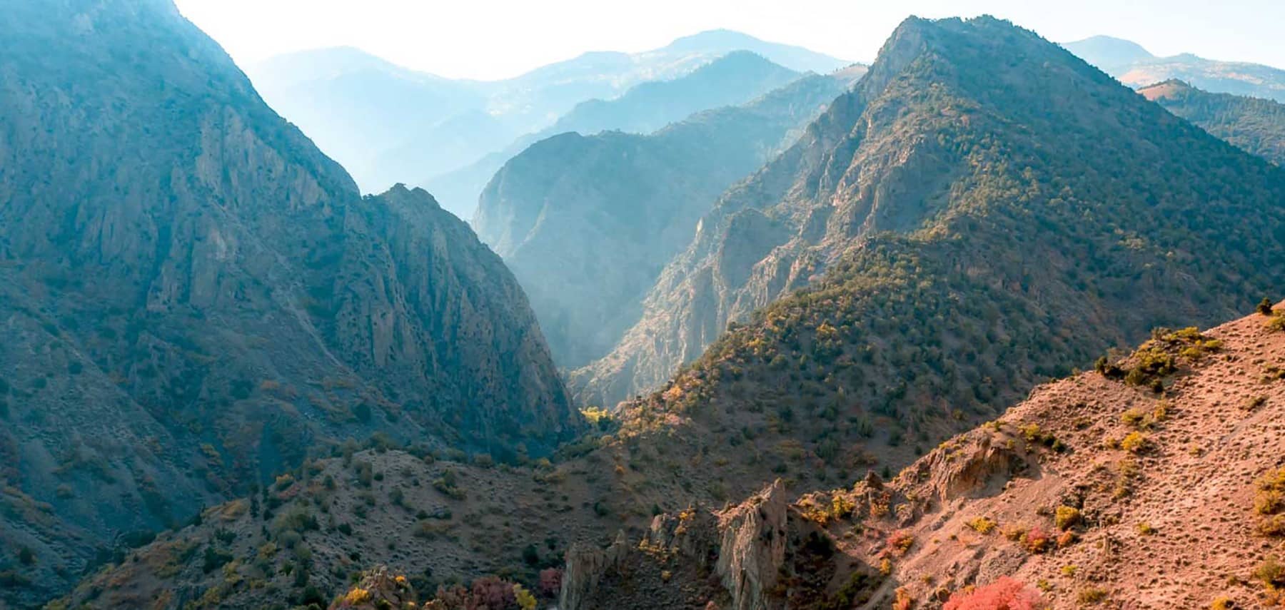 fishlake-national-forest_video-2_more-than-just-forests 1800