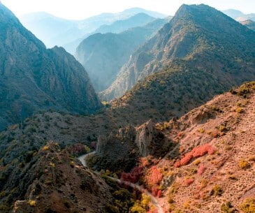 Image : Fishlake National Forest