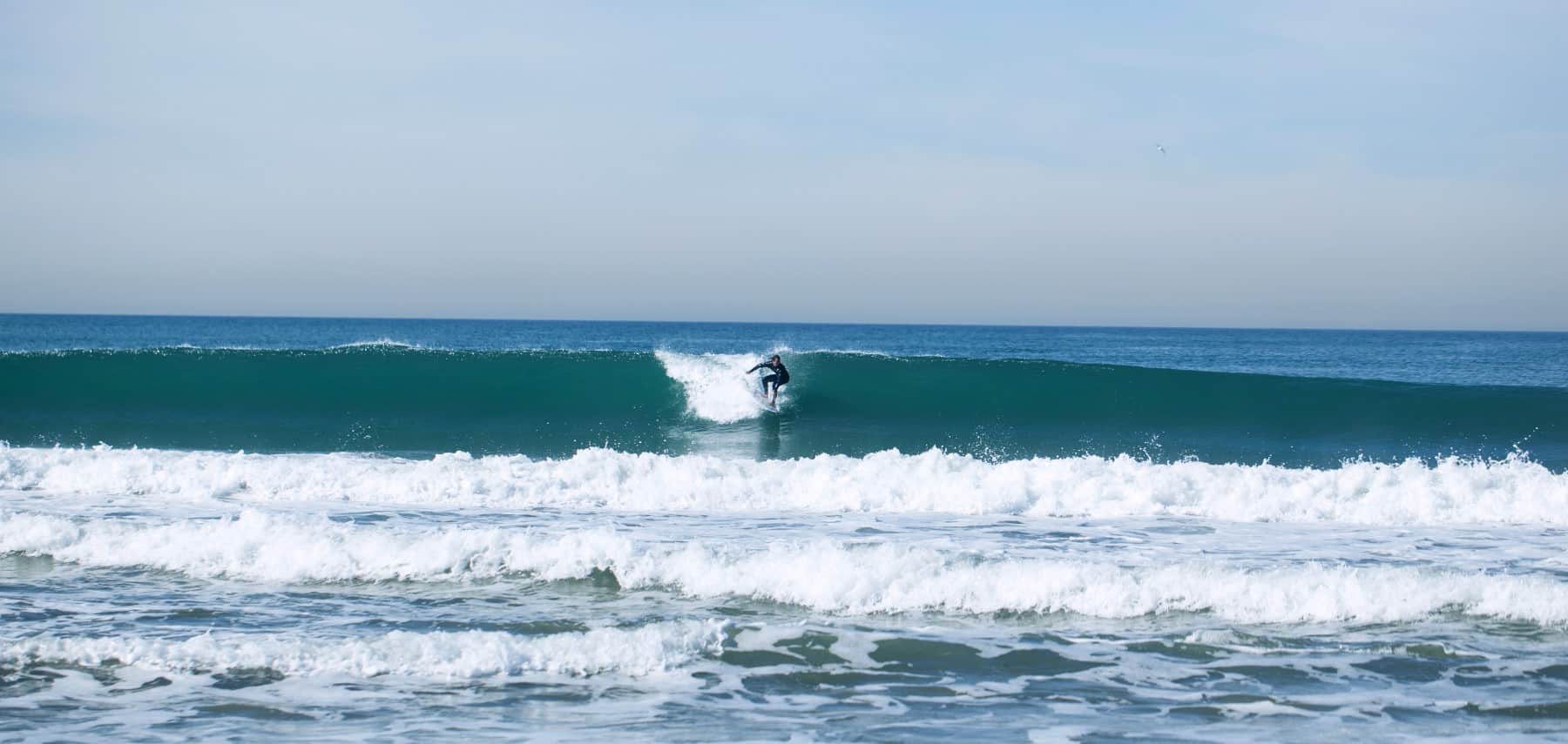 Surfing Torrance 1800