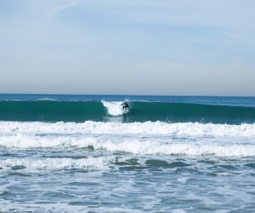Image : Torrance