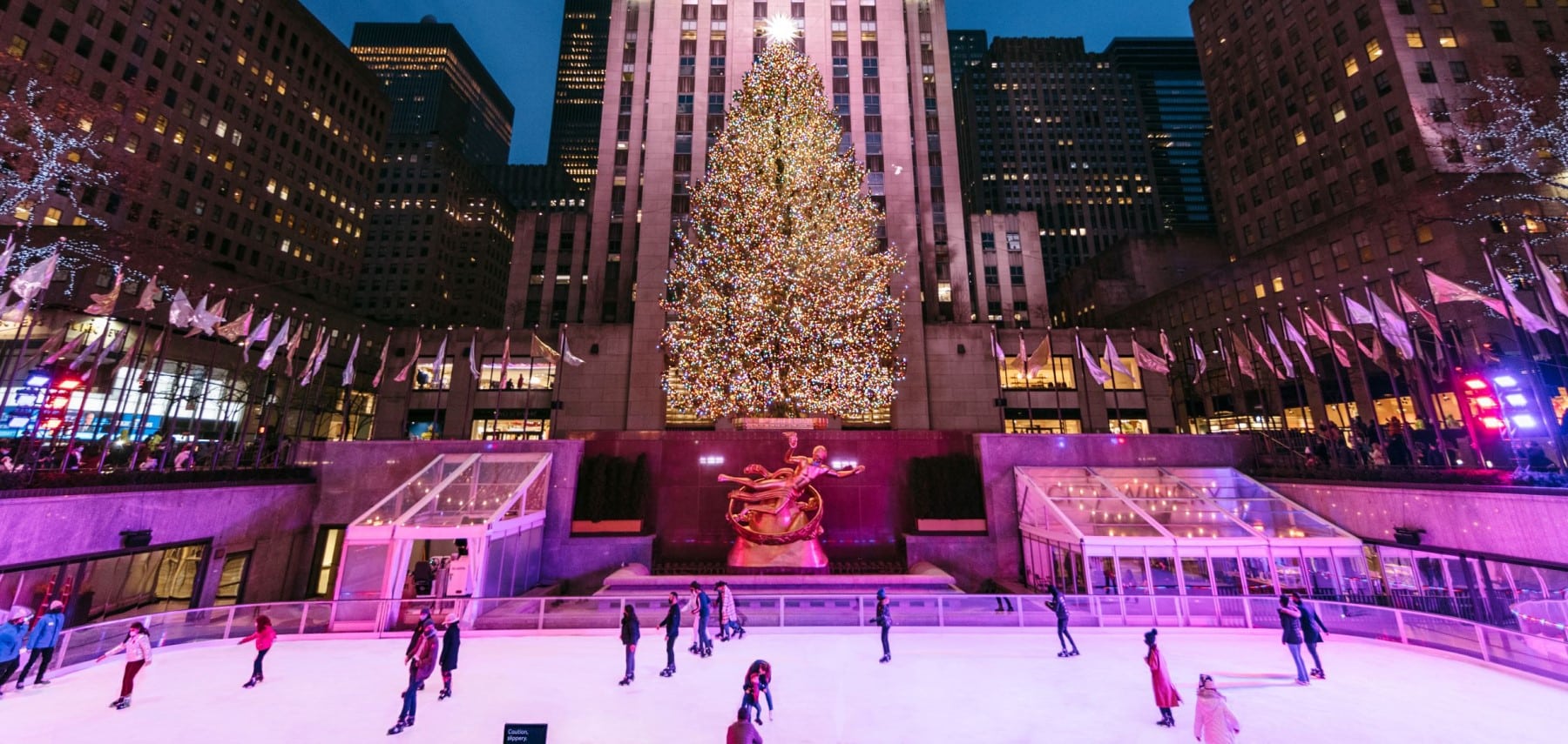 The Rink - Night - Tree #2 1800 855