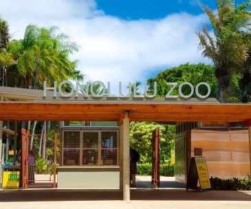 Image : Zoo d’Honolulu