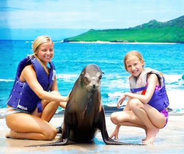 Image : Sea Life Park