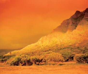 Image : Le Kualoa Ranch