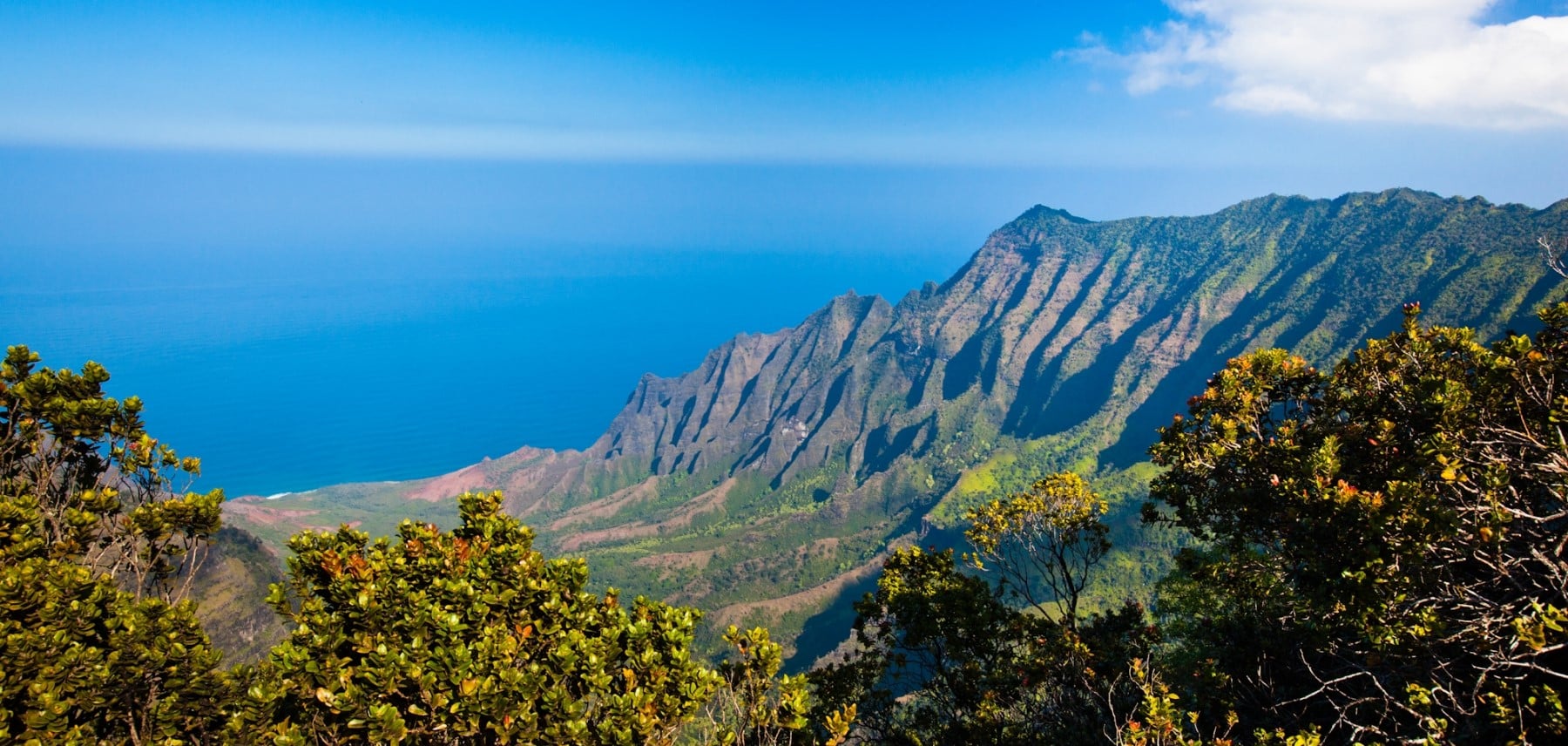 Hawaii tyrolienne 1800