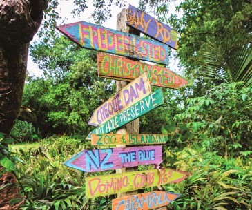 Image : Les écotours à St Thomas