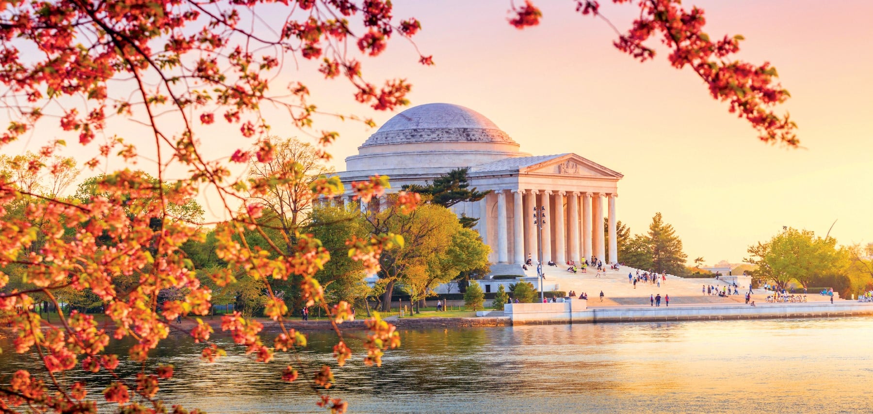 DC Jefferson Memorial_Cherry Blossoms_iStock 1800