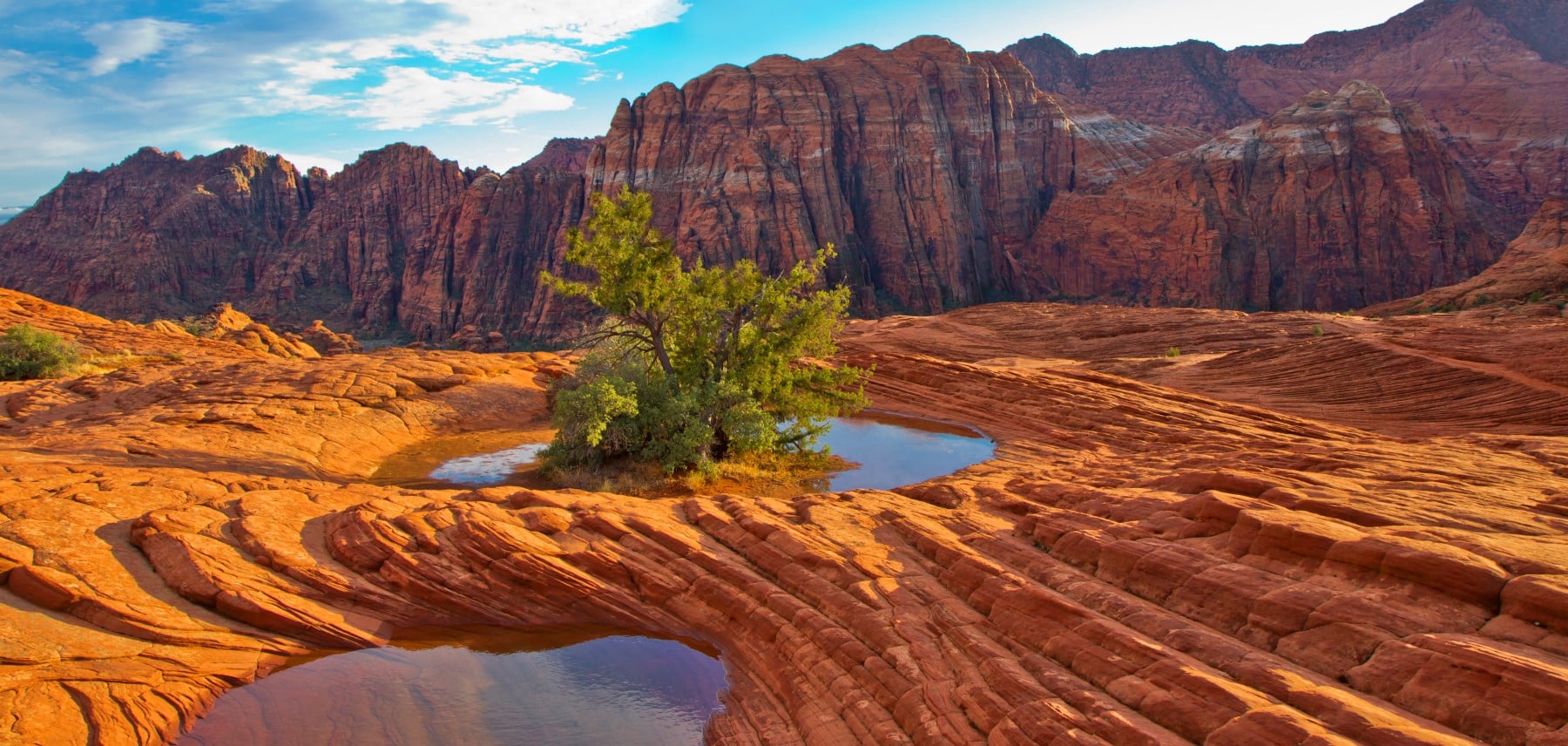 Utah PetrifiedPools_JoeNewman 1800