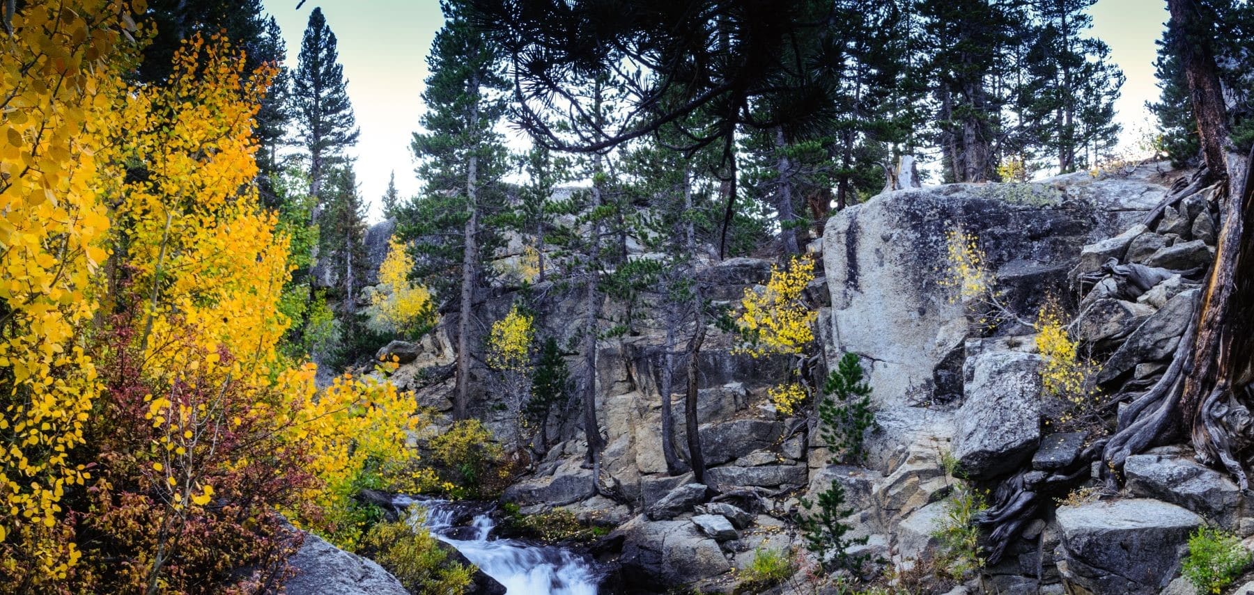 Californie -Bishop creek 1800