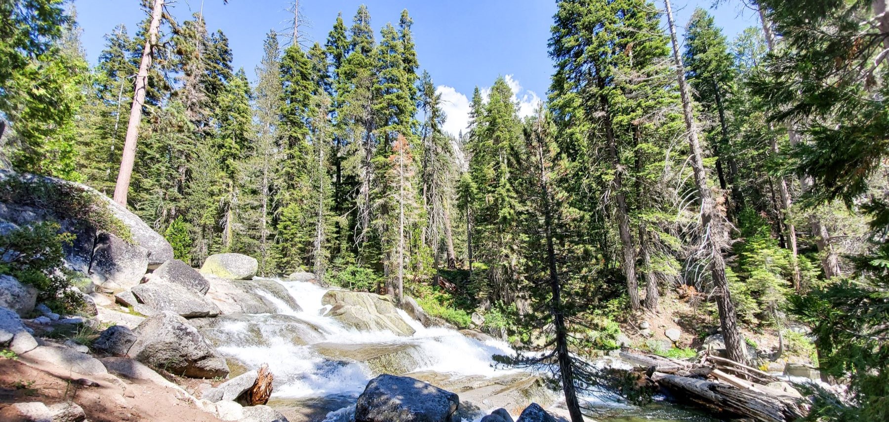 Californie - visalia -sequoia kings canyon 1800