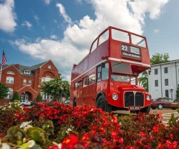 Image : Double Decker Arts Festival