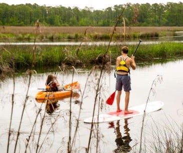 Image : Les activités nautiques du Mississippi