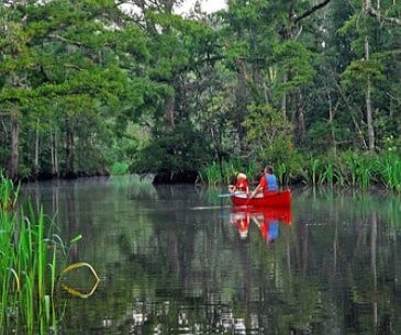 Image : Pascagoula River Audubon Center