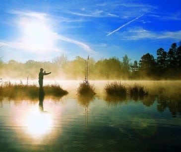 Image : Les écotours dans le Sud du Mississippi
