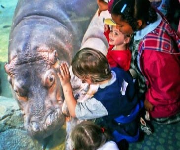 Image : Atlantic City Aquarium
