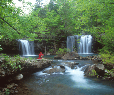 Image : Twin Falls Resort State Park