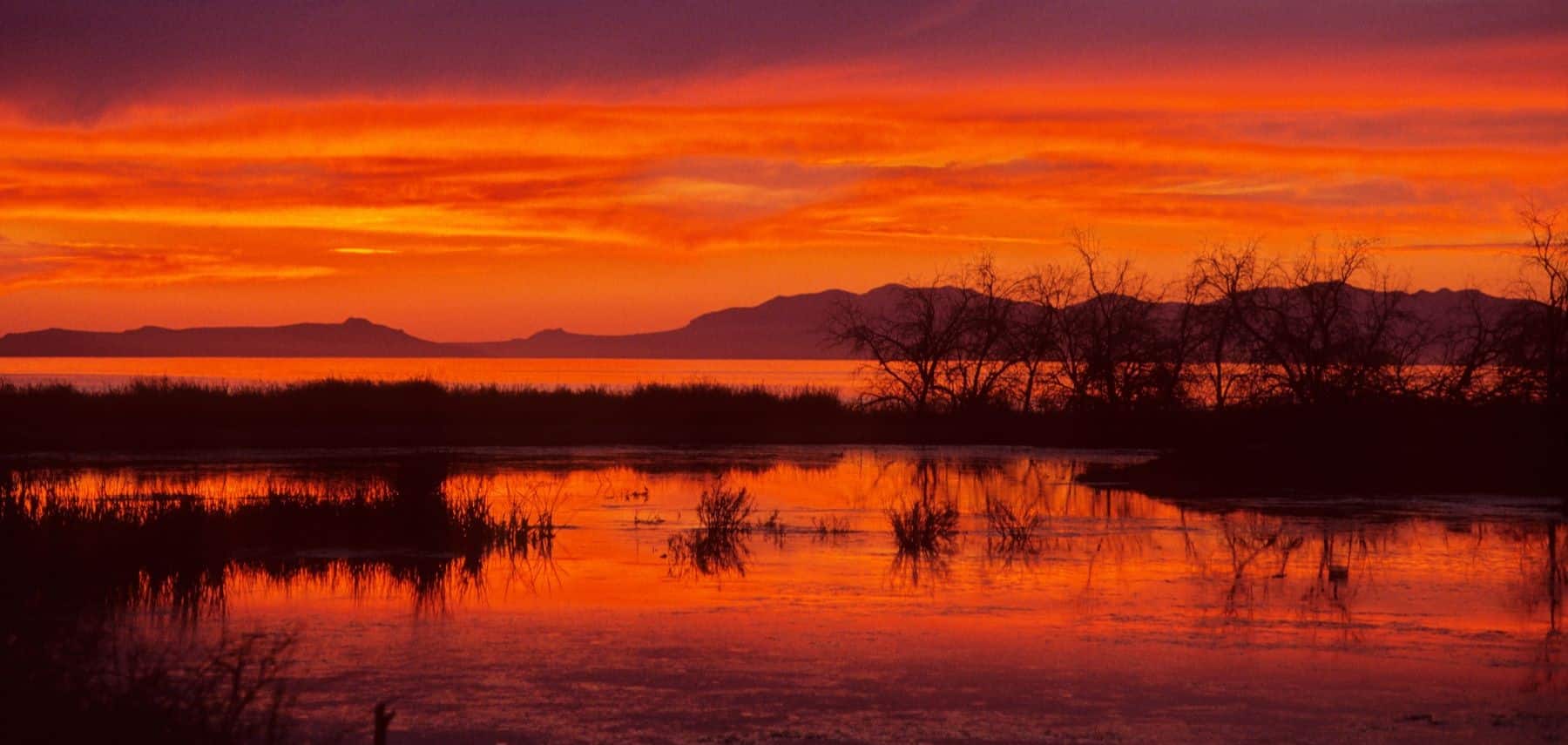 Utah-UtahCVB-HD-Great-Salt-Lake-Great-Salt-Lake-Frank-Jensen1800x855
