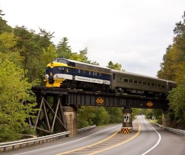 Image : Potomac Eagle Train Ride