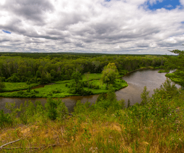 Image : Manistee National Forest
