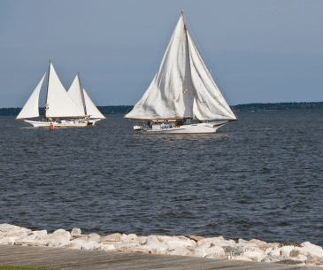 Image : Leçon de voilier dans la Baie de Chesapeake
