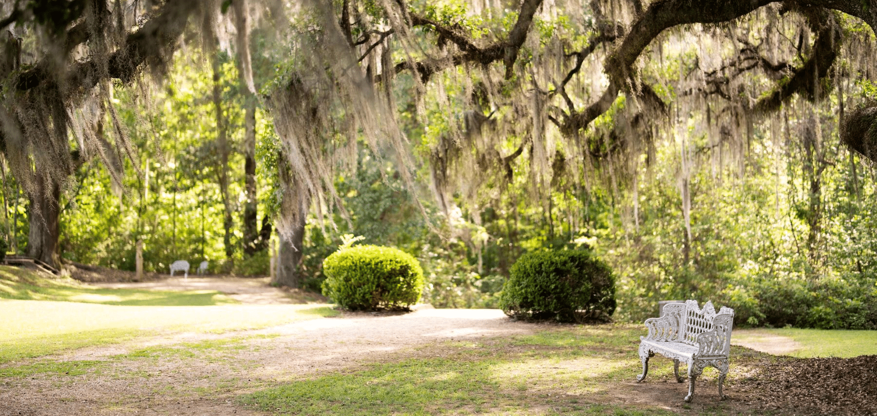 StFrancisville 1800.jpg