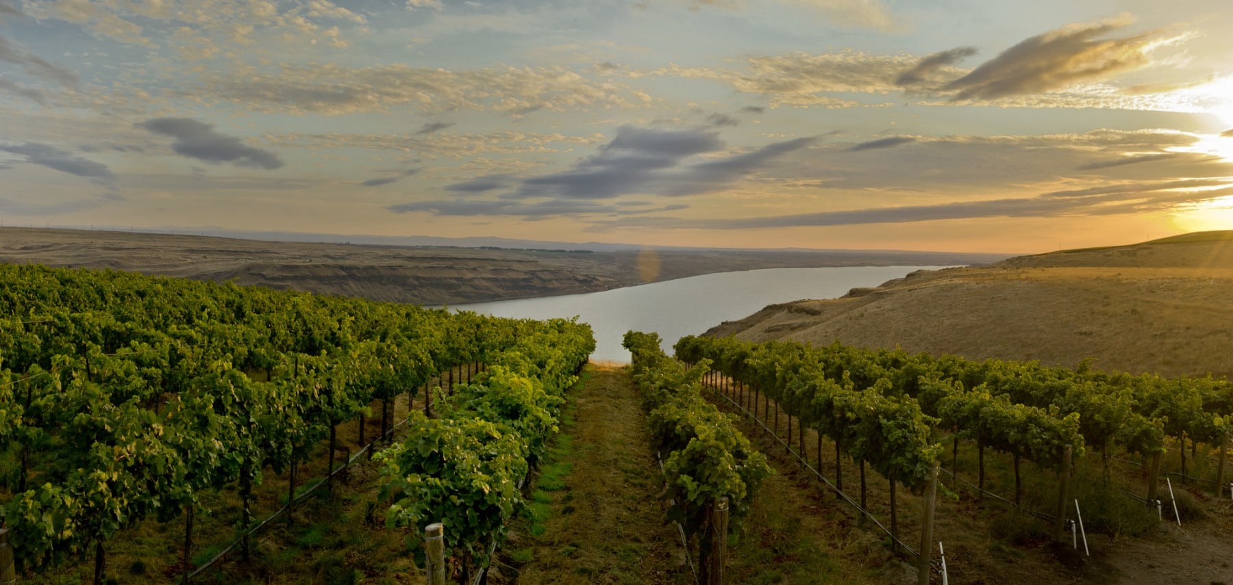 Wine Country (c) State of Washington Tourism 1800