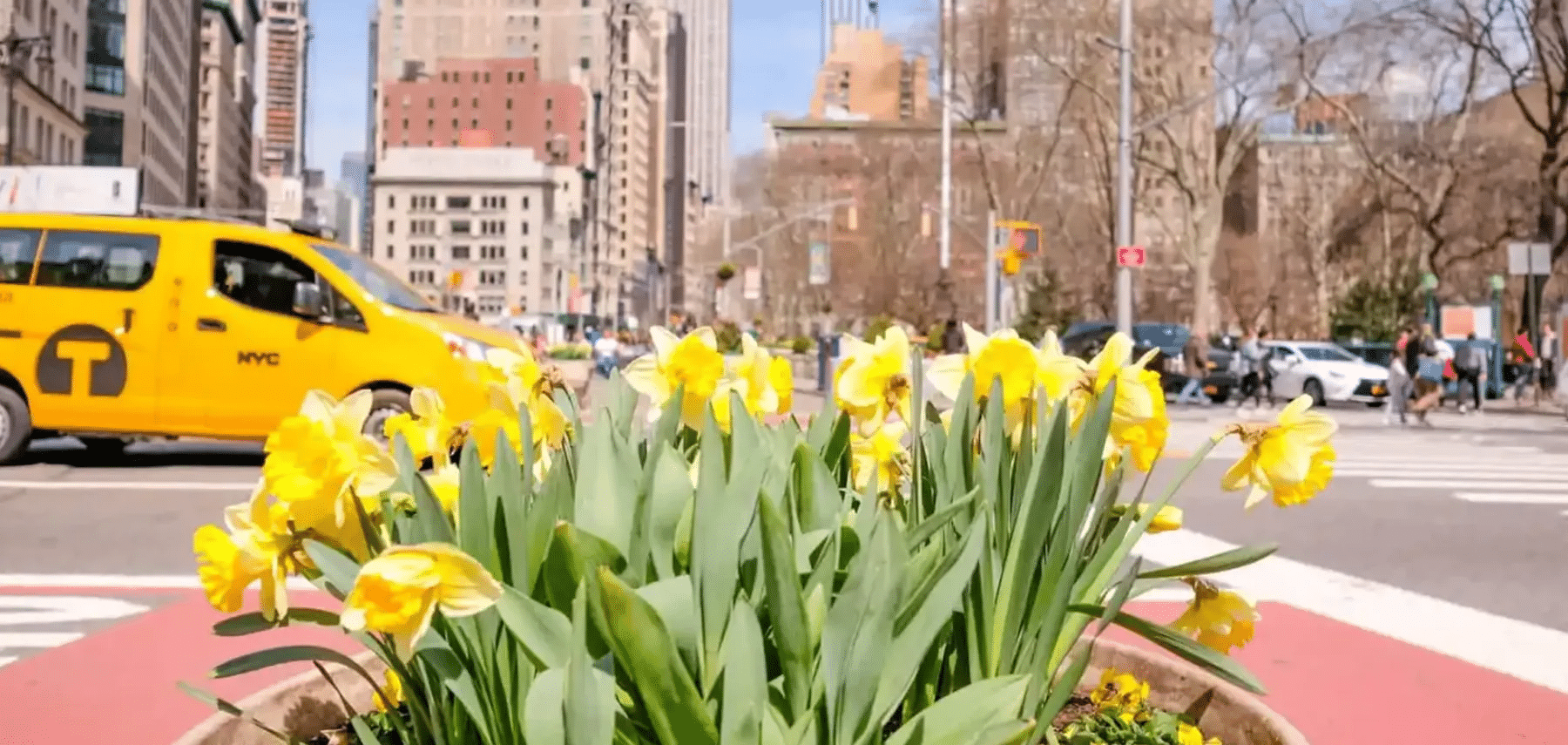 VEV-Printemps1800x855px