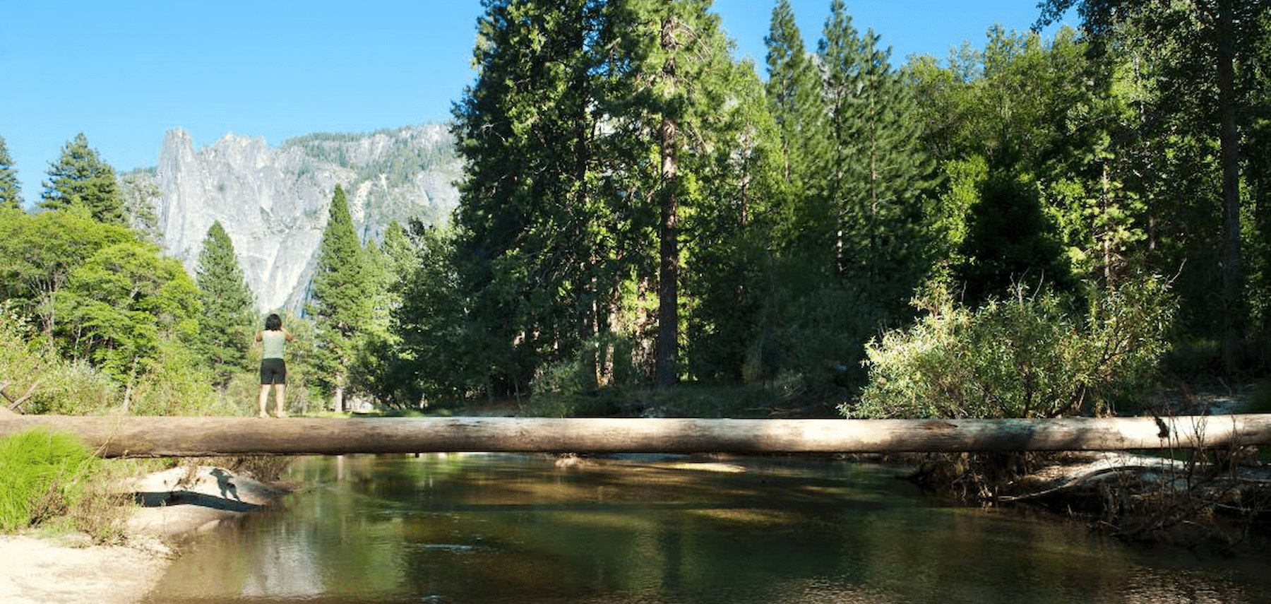 California-Tourism-Yosemite 1800 855