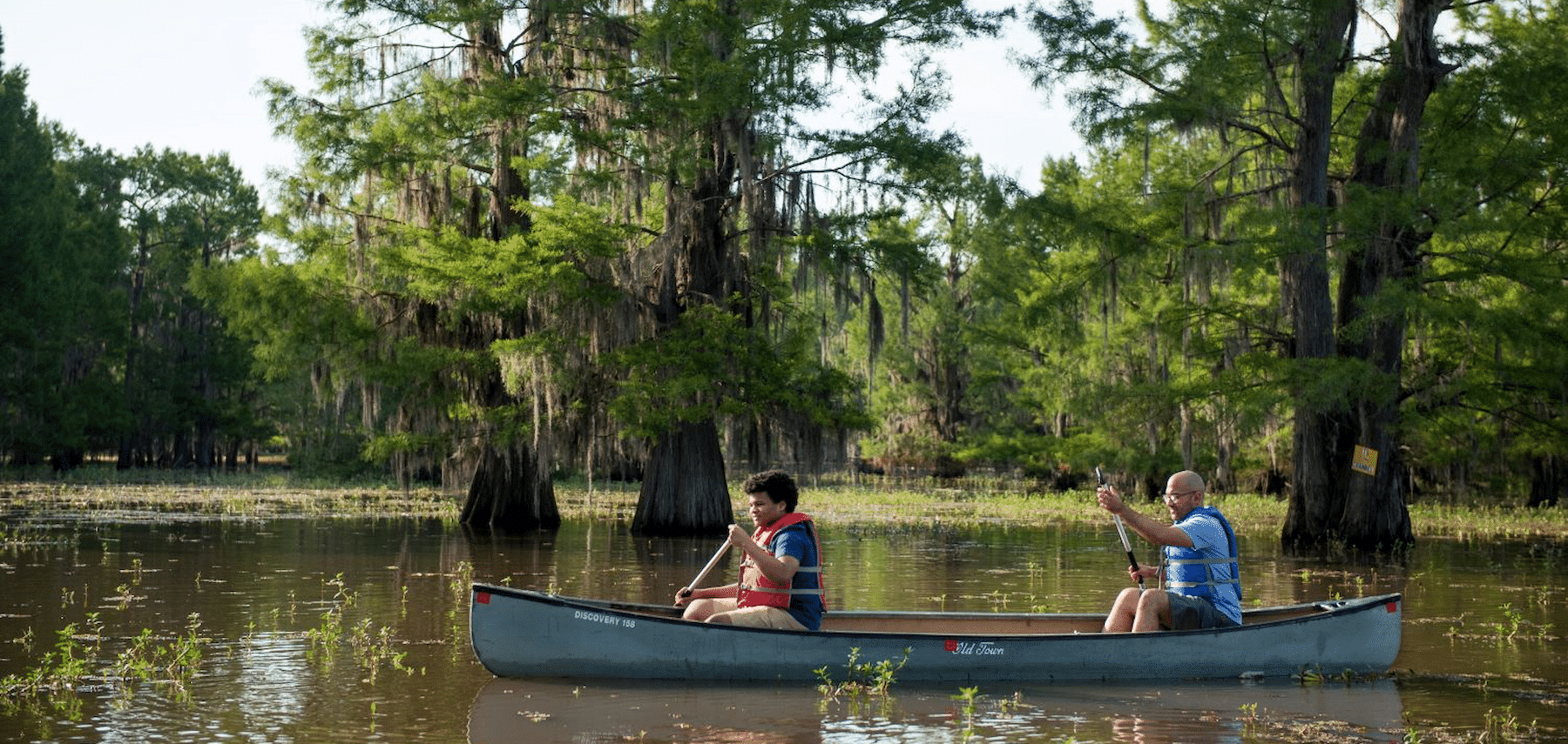 Lake Bistineau, Louisiane 1800 855