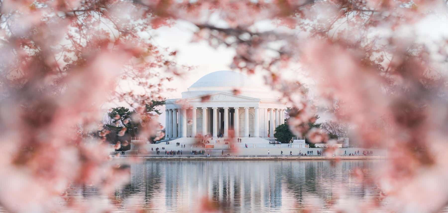 Washington DC 1800 855
