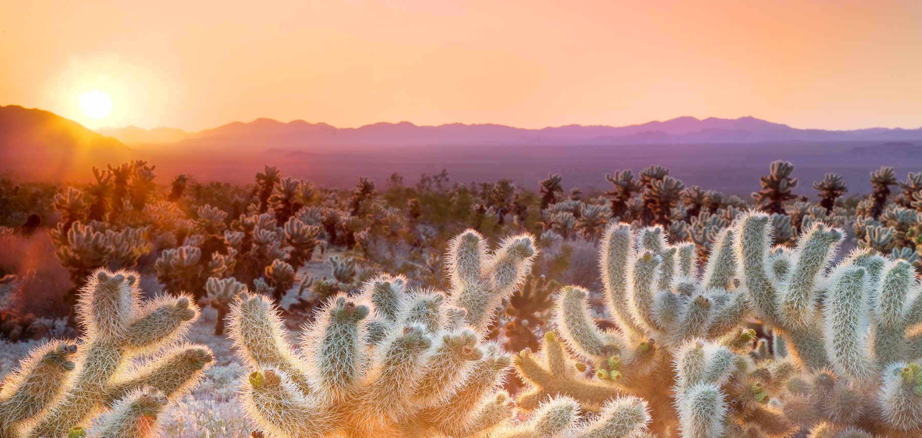 Destination 3 1800x855