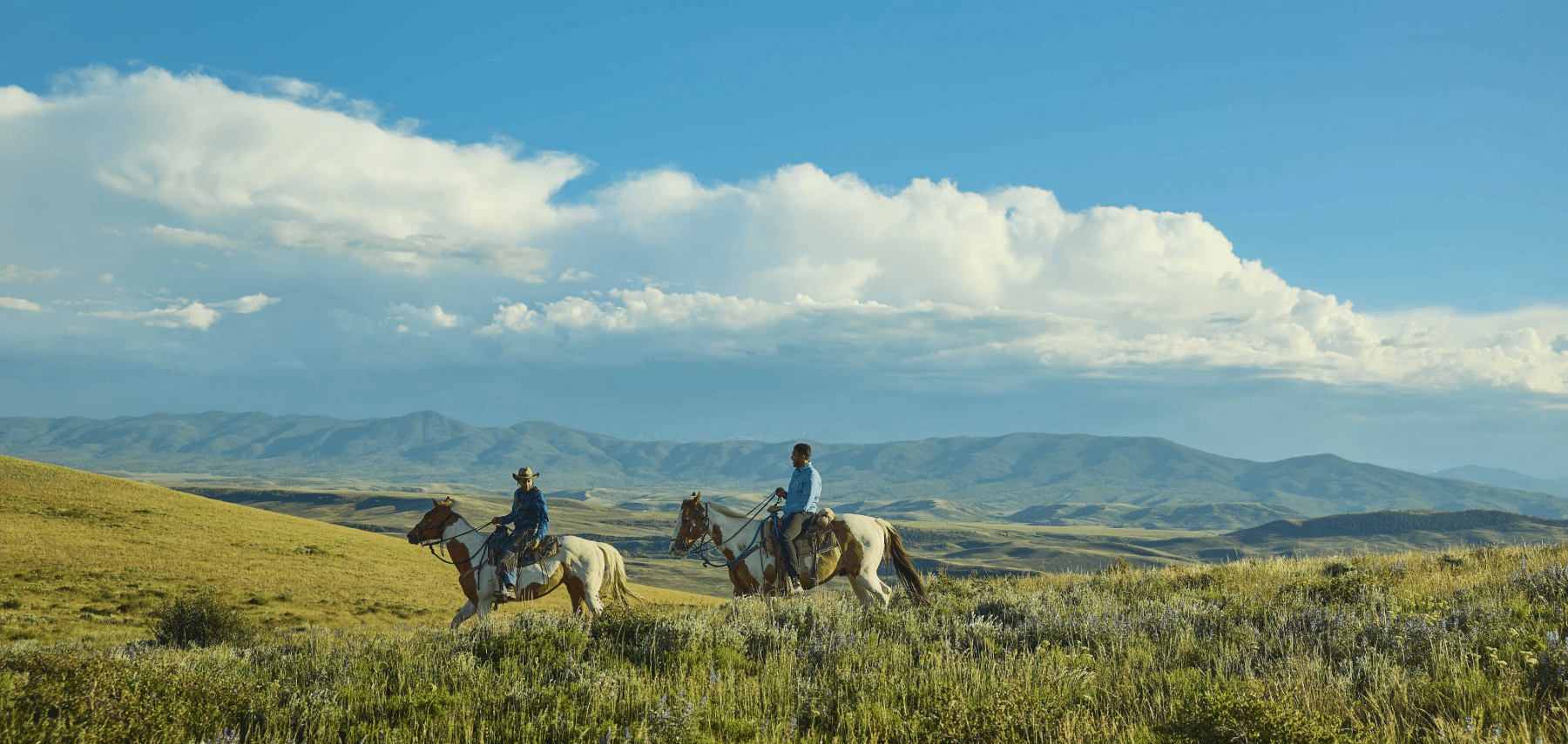 Newsletter VUSA _ Colorado 1800x855px