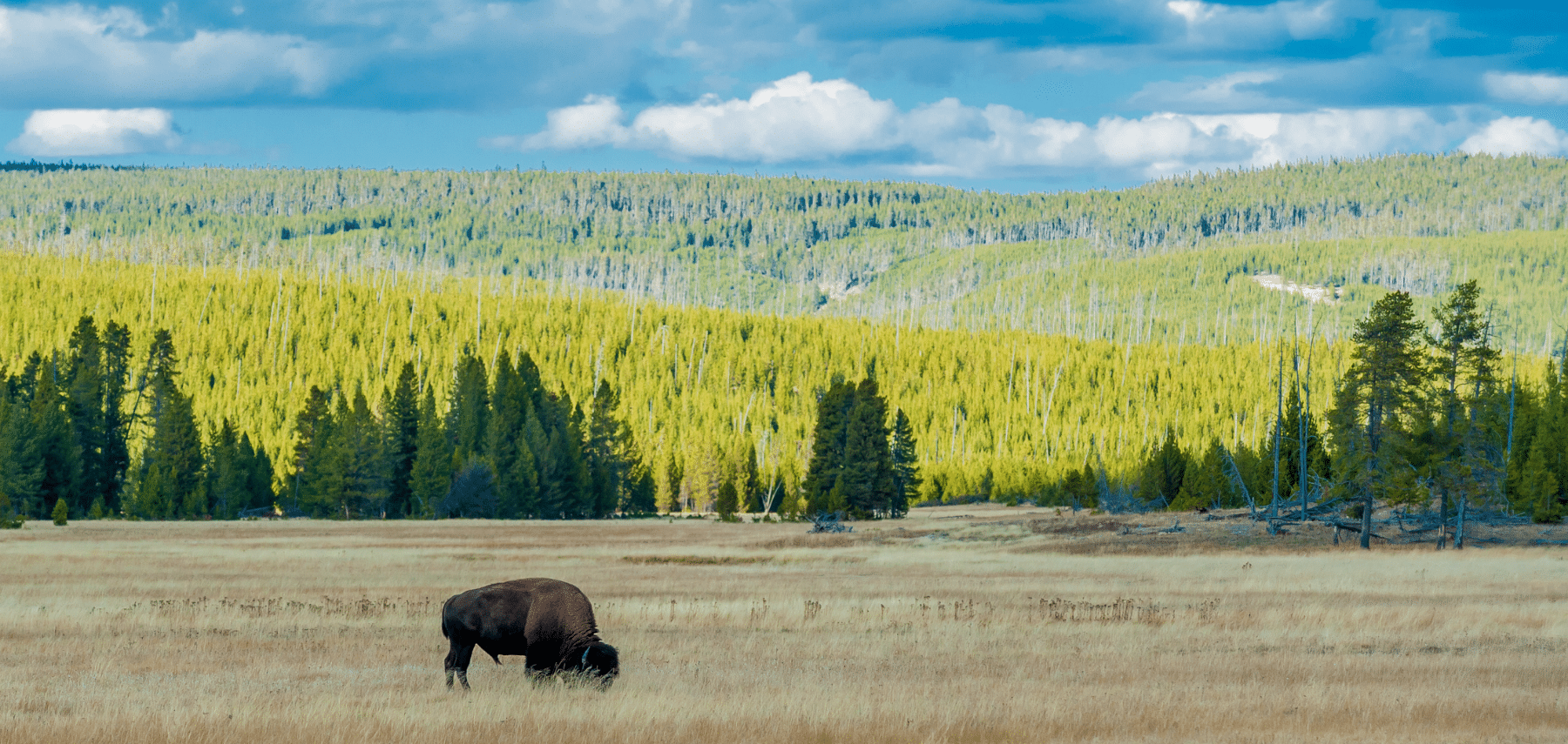 Photo Paysage USA