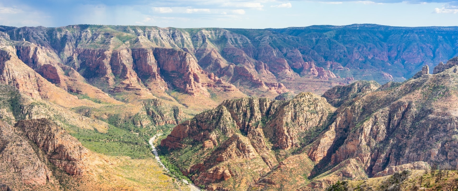 Arizona ExperienceWilliams 2000x800