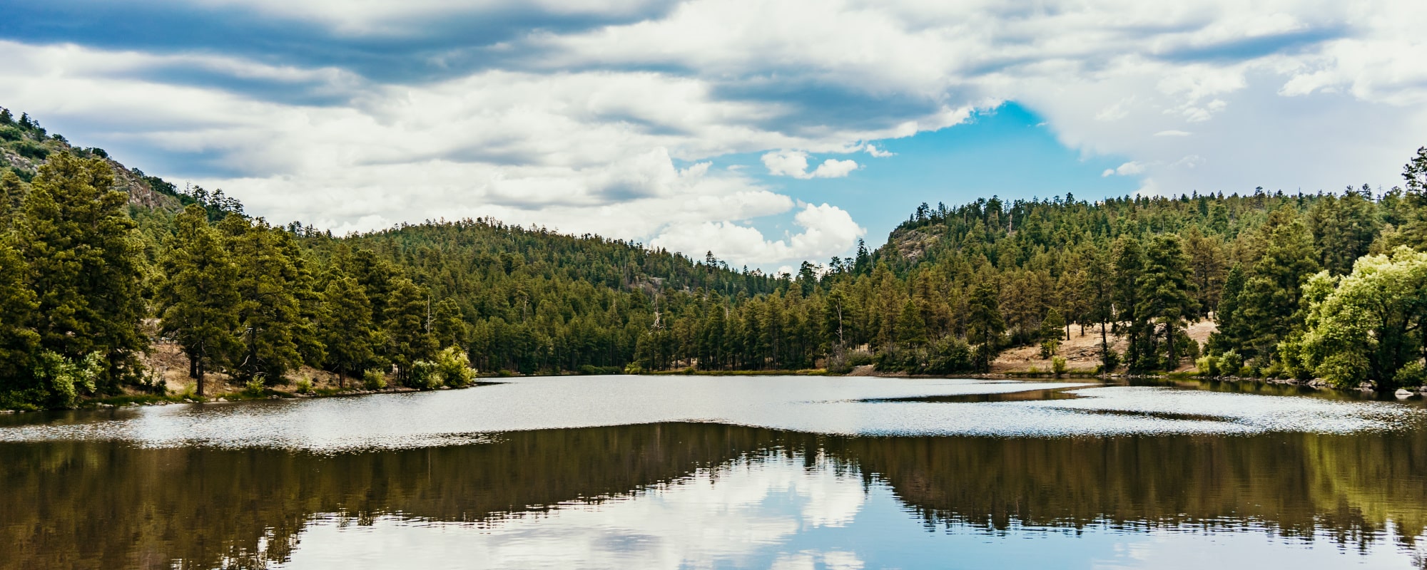 ExperienceWilliams(200of425)-1