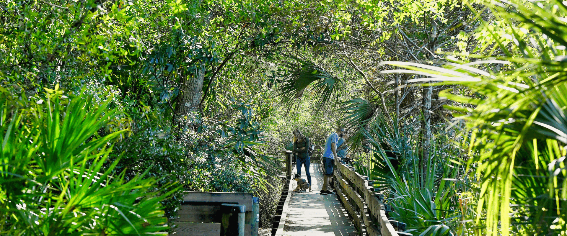 Six Mile Cypress Slough Preserve boardwalk hiking_2000.JPG