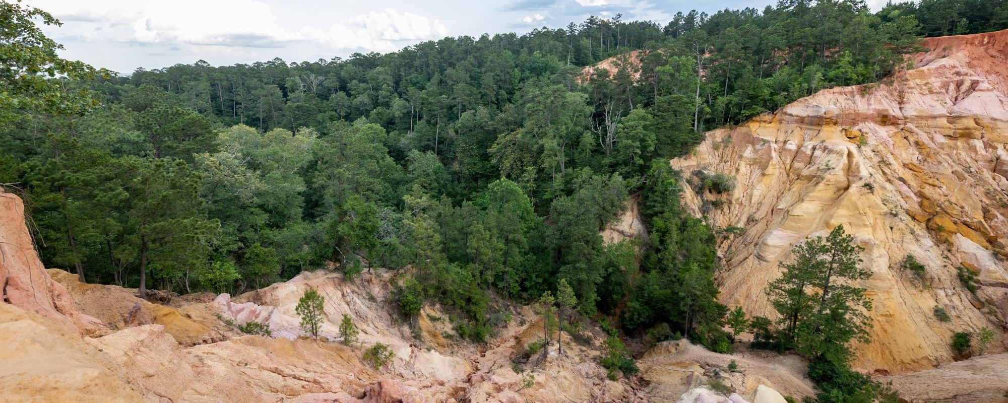 Red Bluff Mississippi-2000X800
