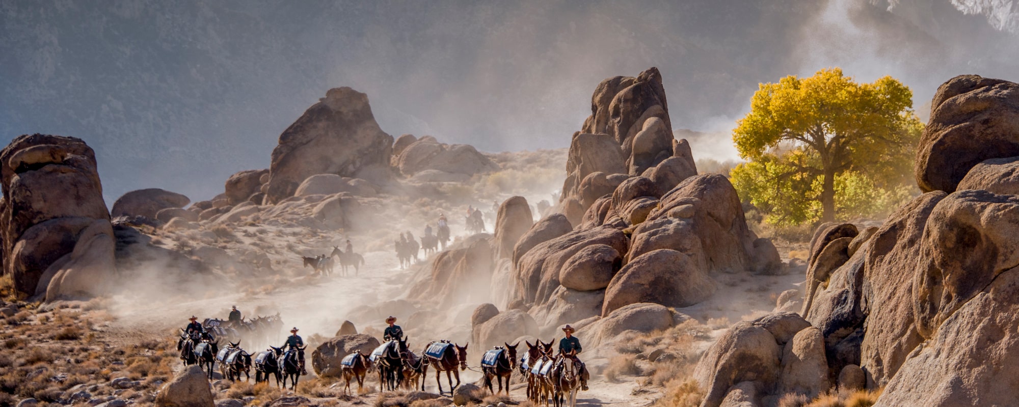 High Sierra 2000 x 800